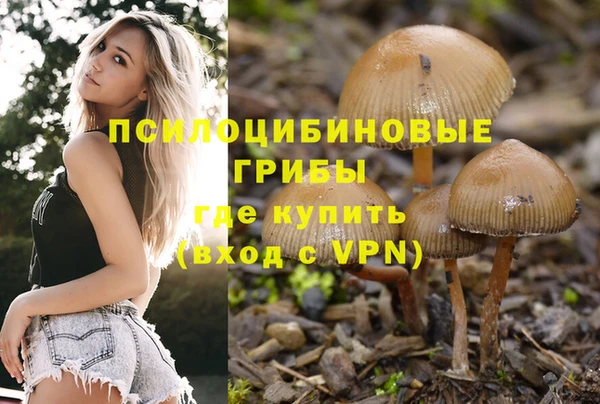 MESCALINE Снежинск