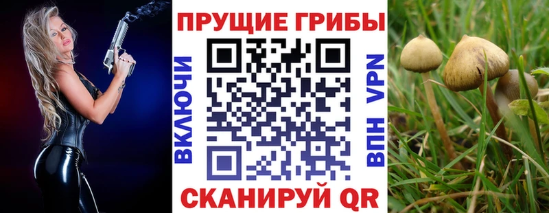 Галлюциногенные грибы прущие грибы  Адыгейск 